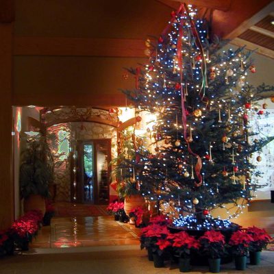 クリスマス Zenzero