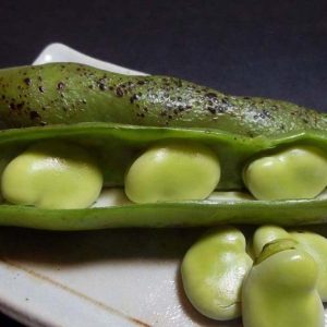そら豆炭火焼