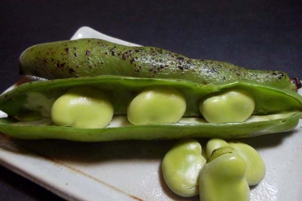 そら豆炭火焼