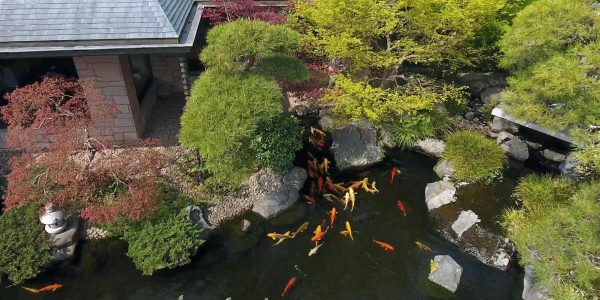 隠れ里　空から池