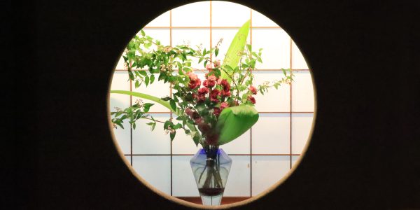 仙乗庵入口（花 水無月）