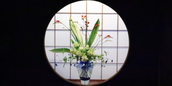仙乗庵入口（250627）