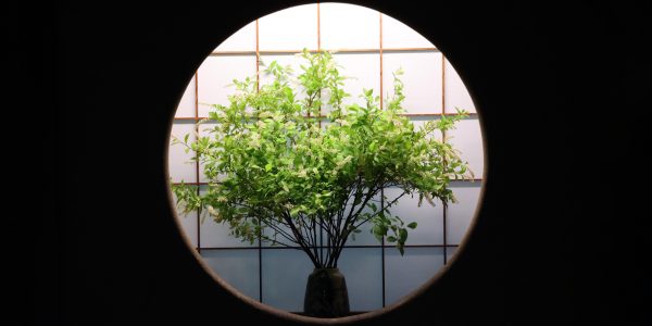 仙乗庵入口(水無月)