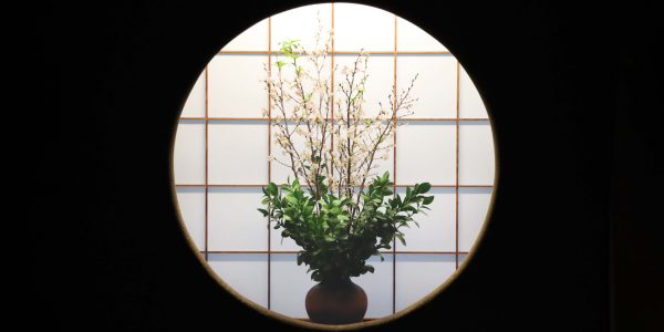 仙寿庵入口（弥生）