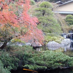 池　秋(紅葉)