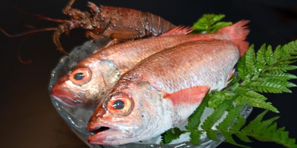 のどぐろ＆伊勢海老（美食コース 秋）