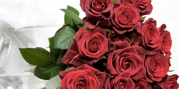 ダズンローズ　薔薇